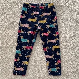 Dachshund Leggings. 24 months